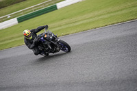 Middle Group Blue Bikes